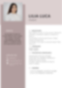 Cv Preview