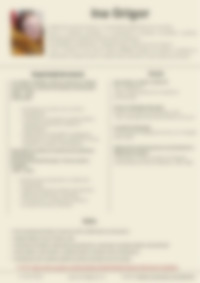 Cv Preview