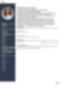 Cv Preview