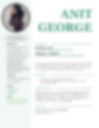 Cv Preview