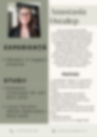 Cv Preview