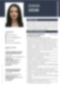 Cv Preview