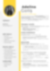 Cv Preview