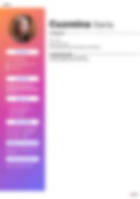 Cv Preview