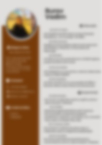Cv Preview