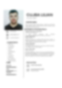 Cv Preview