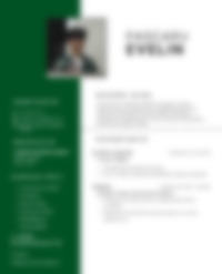 Cv Preview