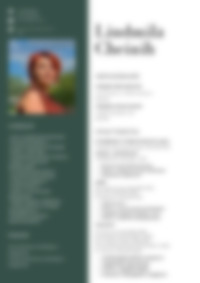 Cv Preview