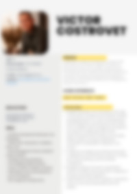 Cv Preview