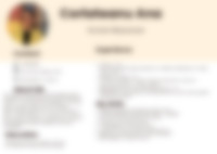 Cv Preview