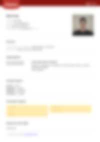 Cv Preview