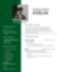 Cv Preview
