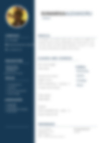 Cv Preview