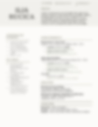 Cv Preview