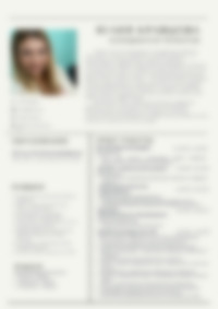 Cv Preview