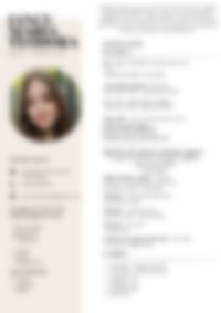 Cv Preview