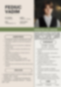 Cv Preview