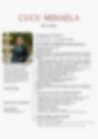 Cv Preview