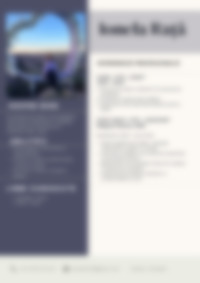 Cv Preview