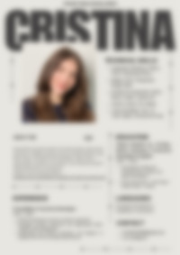 Cv Preview