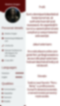 Cv Preview