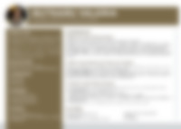 Cv Preview