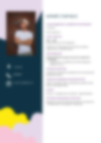 Cv Preview