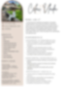 Cv Preview