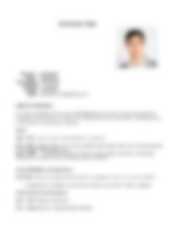 Cv Preview
