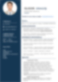 Cv Preview