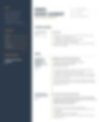 Cv Preview