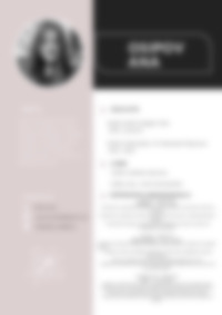 Cv Preview