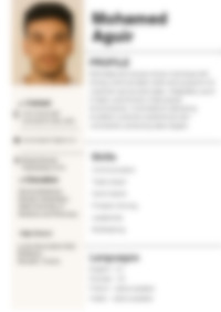 Cv Preview