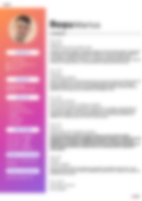 Cv Preview