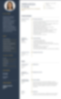 Cv Preview