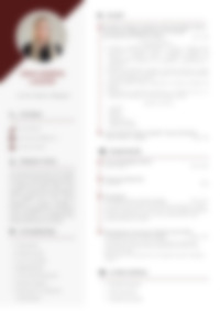 Cv Preview