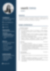 Cv Preview