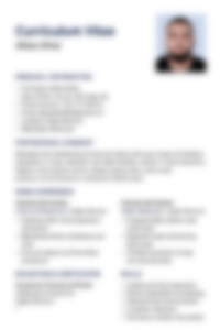 Cv Preview