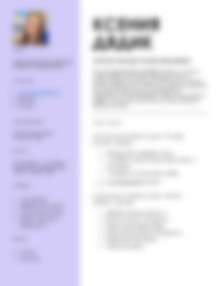 Cv Preview