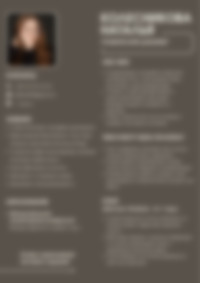 Cv Preview