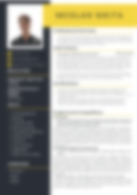 Cv Preview