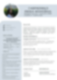 Cv Preview