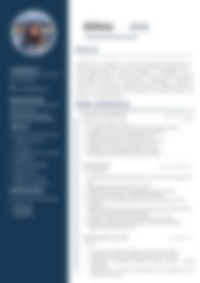 Cv Preview