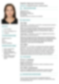 Cv Preview