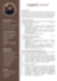 Cv Preview