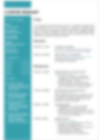 Cv Preview
