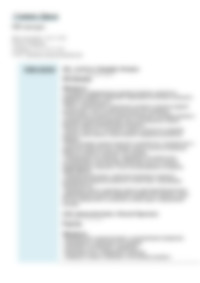 Cv Preview