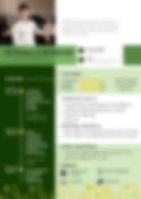 Cv Preview