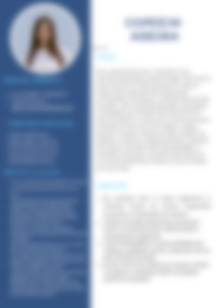 Cv Preview
