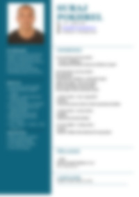 Cv Preview